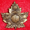 100th Battalion (Winnipeg) Collar Badge